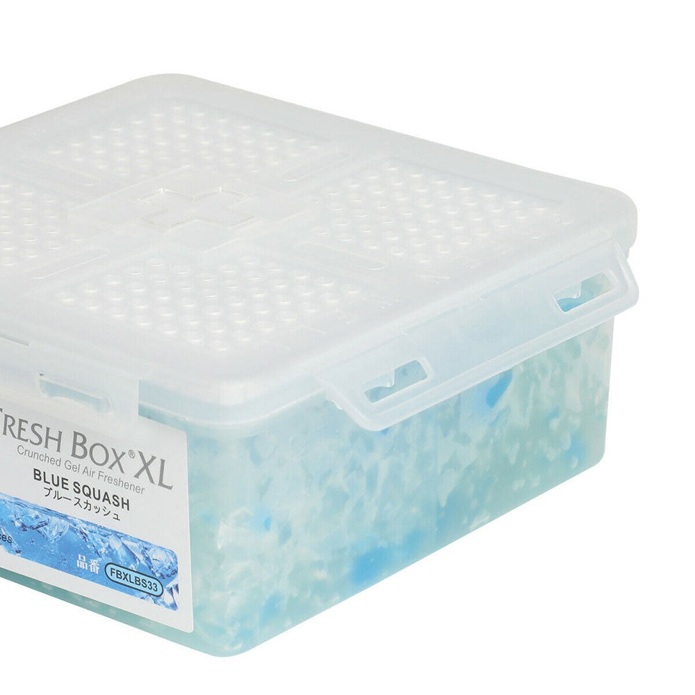 TreeFrog 400G Fresh Box XL Blue Squash Scent Natural Air Freshener Car Indoor-Miscellaneous-BuildFastCar