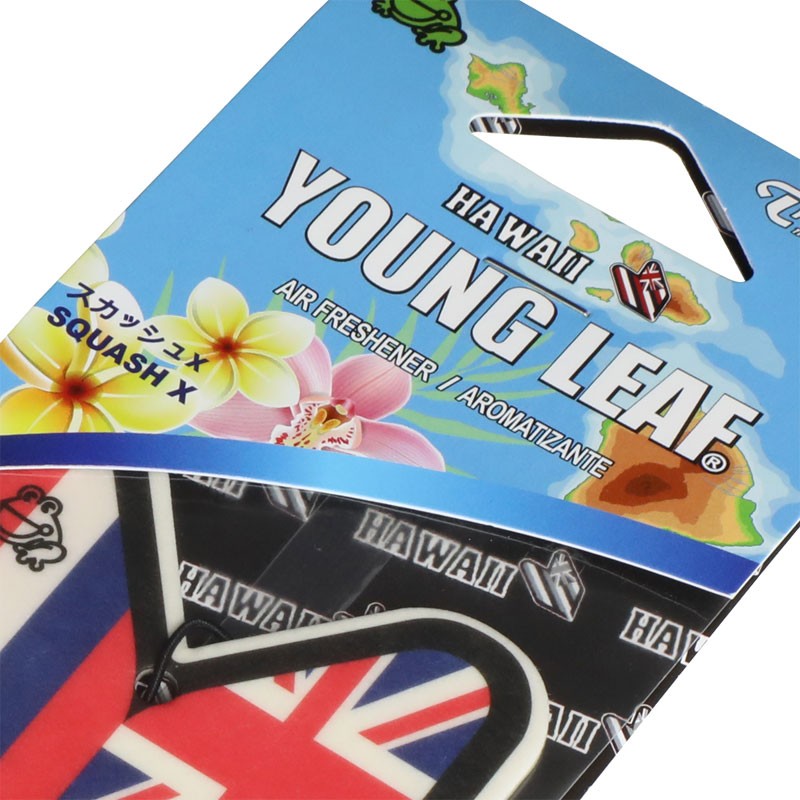 6x Tree Frog Young Leaf Paper Hawaii/Squash X Scent Air Freshener Truck/Van-Miscellaneous-BuildFastCar