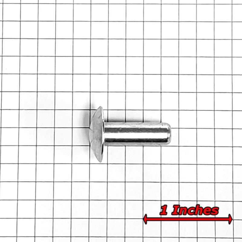 100x L/19mm 1/4" Dia Alu Brazier Head Solid Rivet Fastener Hard Trailer Repair-Hardware Fasteners-BuildFastCar-BFC-TTP-SRT-BZH-025-075-HD