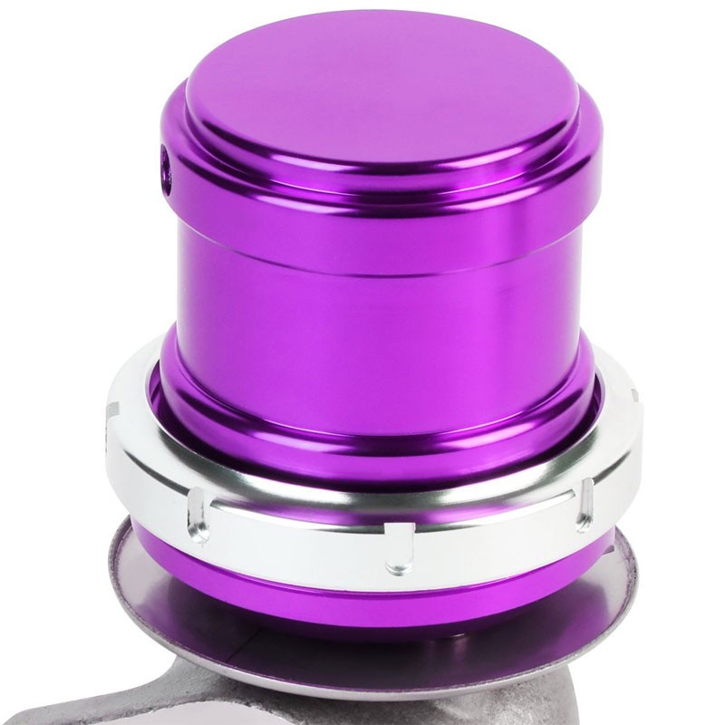 Purple Turbo Charger 38mm 2-Bolt 14PSI Turbo External Wastegate Kit+Spring T33