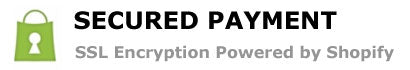 Build Fast Car BFC SSL Encryption payment powered by shopify