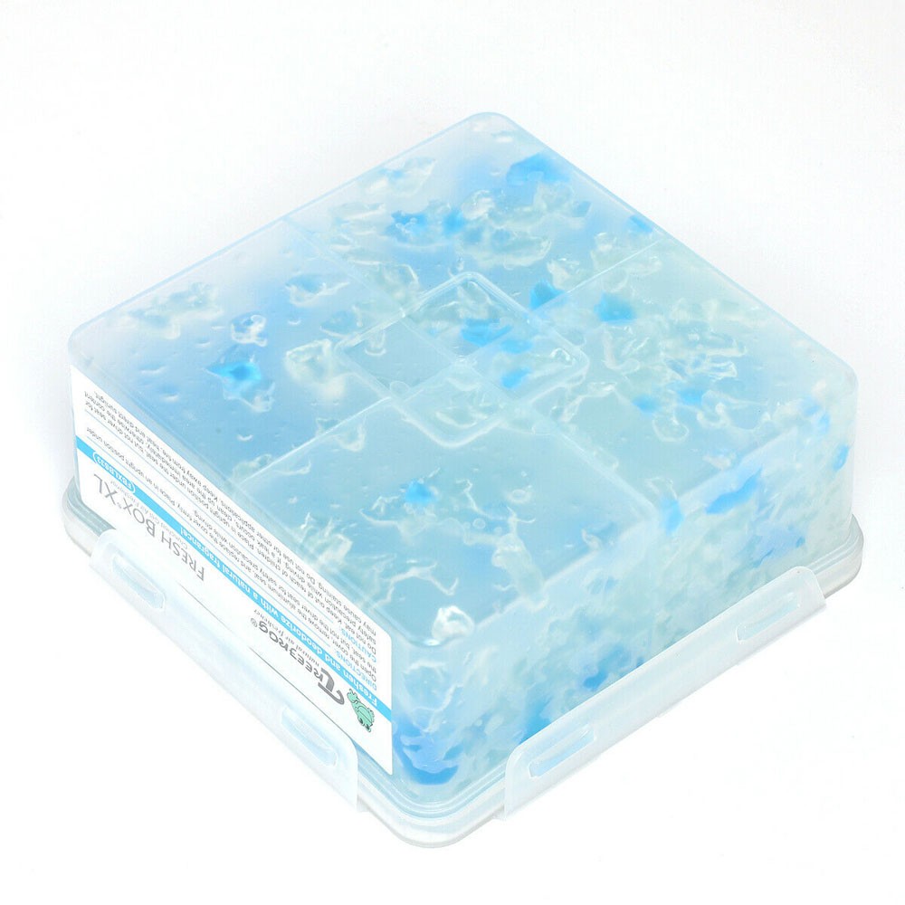 TreeFrog 400G Fresh Box XL Blue Squash Scent Natural Air Freshener Car Indoor-Miscellaneous-BuildFastCar