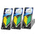 3x Tree Frog Young Leaf Paper JDM New Driver/Black Squash Scent Air Freshener-Miscellaneous-BuildFastCar