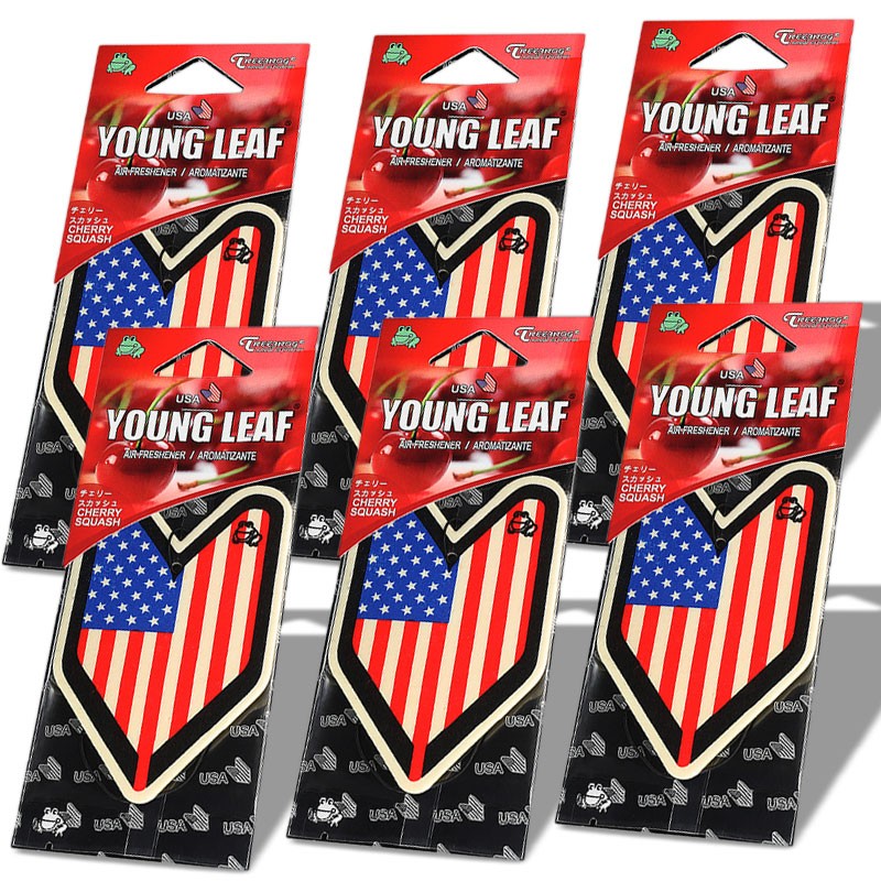 6x Tree Frog Young Leaf Paper USA Mark/Cherry Squash Scent Air Freshener Auto-Miscellaneous-BuildFastCar
