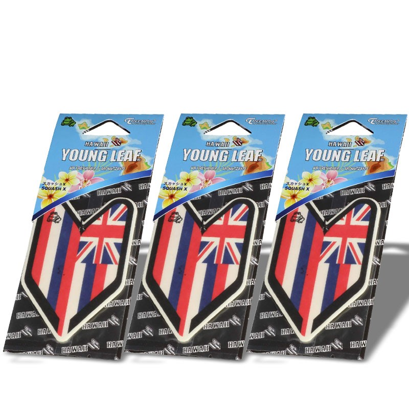 3x Tree Frog Young Leaf Paper Hawaii/Squash X Scent Air Freshener Bathroom-Miscellaneous-BuildFastCar