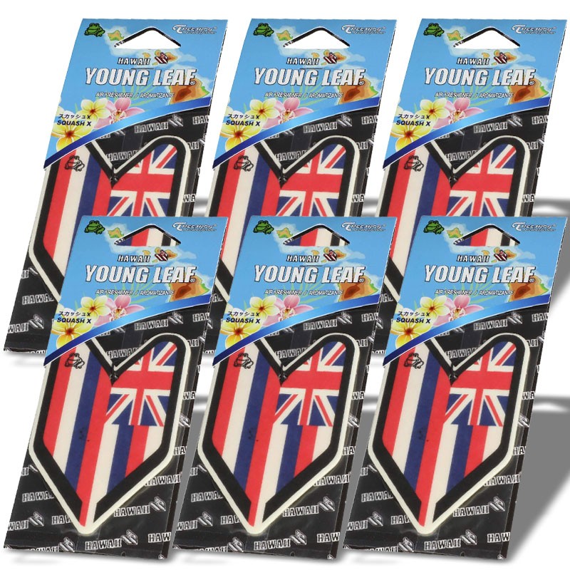 6x Tree Frog Young Leaf Paper Hawaii/Squash X Scent Air Freshener Truck/Van-Miscellaneous-BuildFastCar