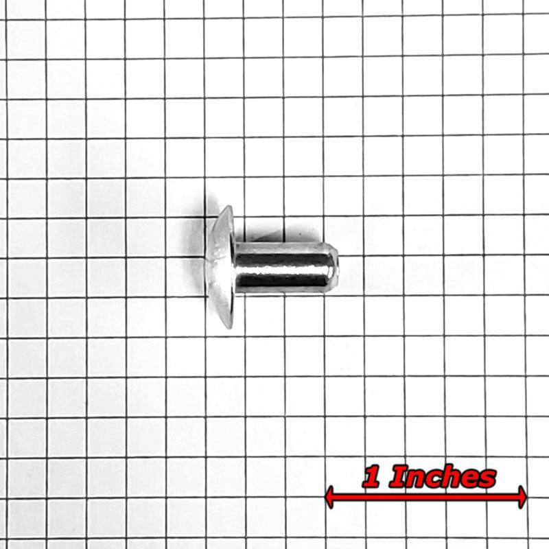 100x L/13mm 1/4" Dia Alu Brazier Head Solid Rivet Fastener Hard Trailer Repair-Hardware Fasteners-BuildFastCar-BFC-TTP-SRT-BZH-025-050-HD