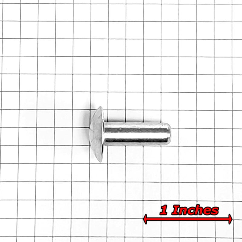 100x L/19mm 1/4" Dia Alu Brazier Head Solid Rivet Fastener Soft Trailer Repair-Hardware Fasteners-BuildFastCar-BFC-TTP-SRT-BZH-025-075-ST