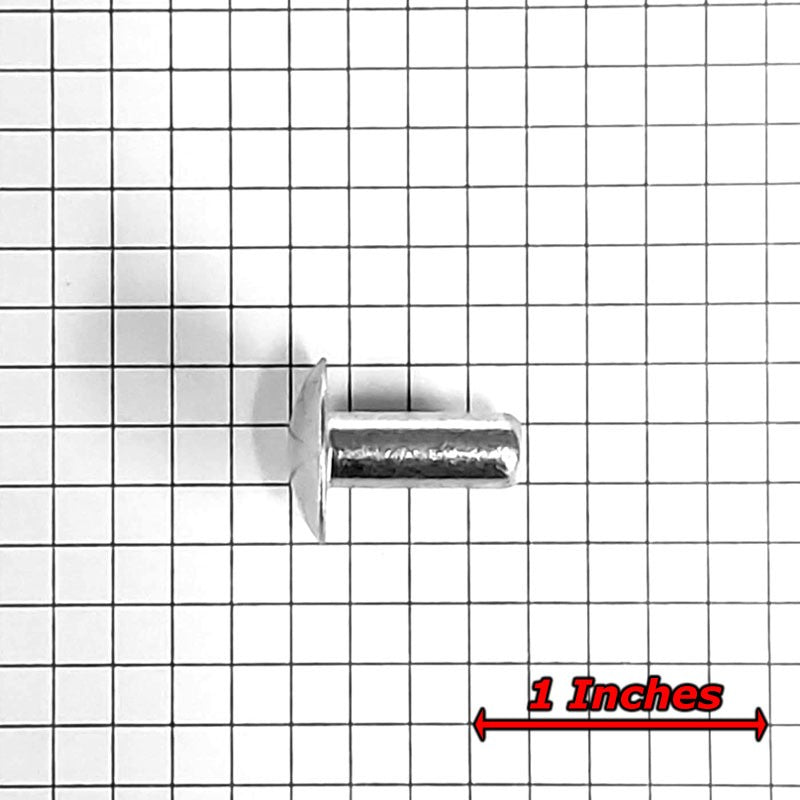 100x L/16mm 1/4" Dia Alu Brazier Head Solid Rivet Fastener Soft Trailer Repair-Hardware Fasteners-BuildFastCar-BFC-TTP-SRT-BZH-025-062-ST