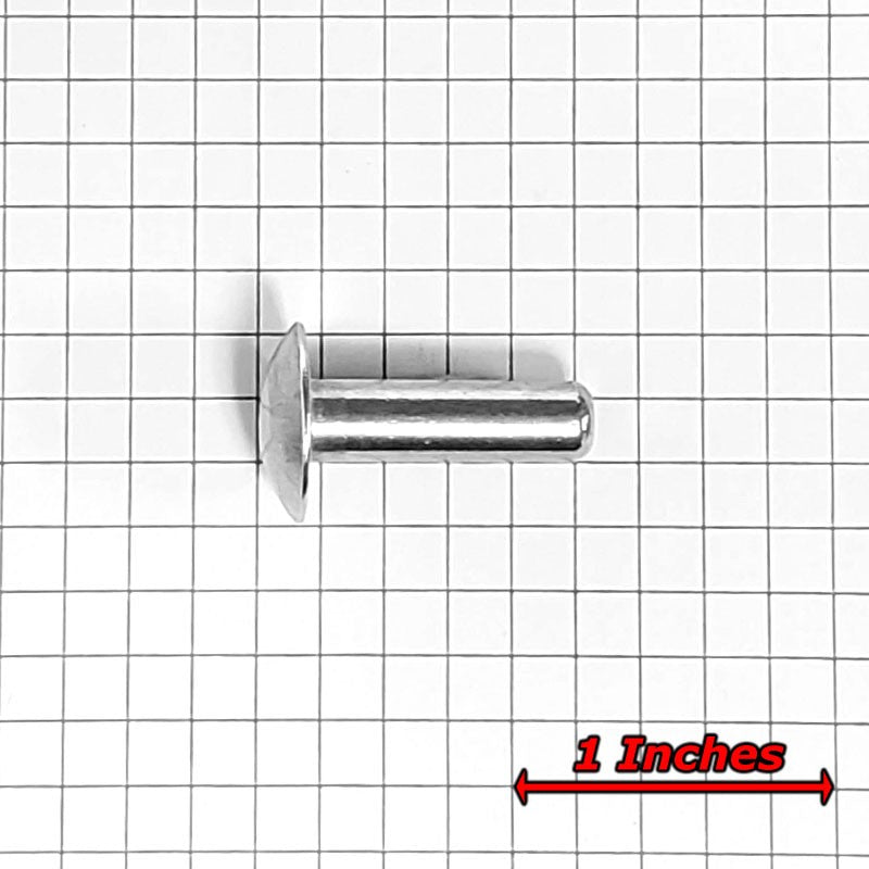 100x L/22mm 1/4" Dia Alu Brazier Head Solid Rivet Fastener Hard Trailer Repair-Hardware Fasteners-BuildFastCar-BFC-TTP-SRT-BZH-025-087-HD
