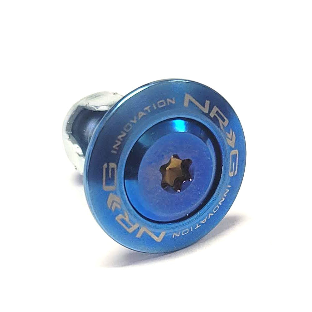 NRG 10PC Rivets for Plastic Bumper Trunk Fender Rivnut Titanium Burn Bolt Washer