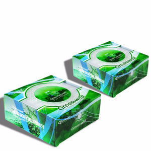 2X TreeFrog Green Well Green Squash Fragrance/Scent Air Freshener/Deodorizer Gel-Accessories-BuildFastCar